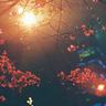 我们相爱吧